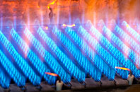 Dihewyd gas fired boilers